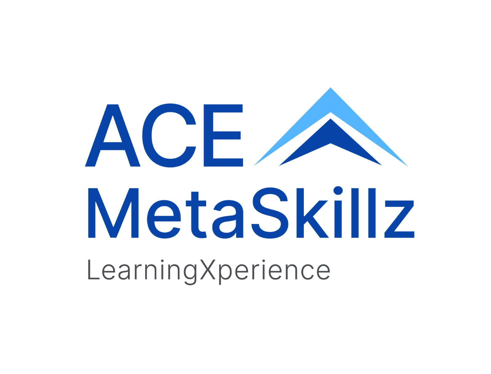 Ace MetaSkillz
